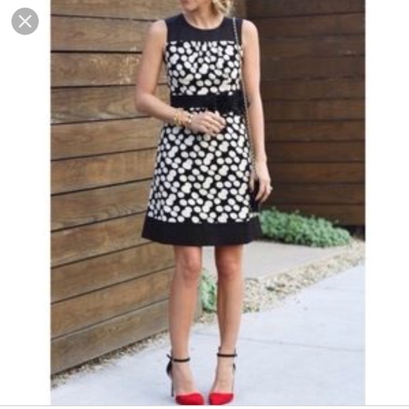 Anthropologie Polka Dot Dress - Picture 6 of 6